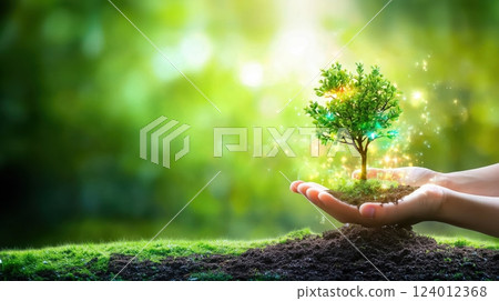 Supporting a young tree in hands symbolizes care for nature on World Environment Day 124012368