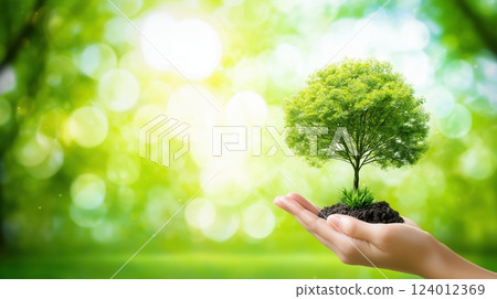 Hands holding a young tree in front of a blurred green forest background for World Environment Day Hands holding a young tree in front of a blurred green forest background for World Environment Day 124012369