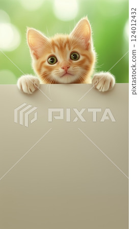 Cute kitten peeks over a white banner with green bokeh background and curious expression 124012432
