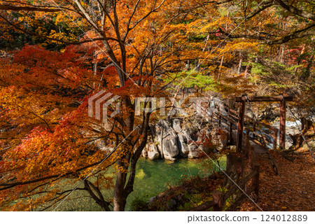[Yamanashi Prefecture] Shosenkyo Gorge in autumn, with beautiful autumn foliage along the promenade along the Arakawa River 124012889