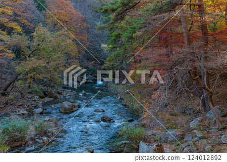 [Yamanashi Prefecture] Shosenkyo Gorge in autumn, with beautiful autumn foliage along the promenade along the Arakawa River 124012892