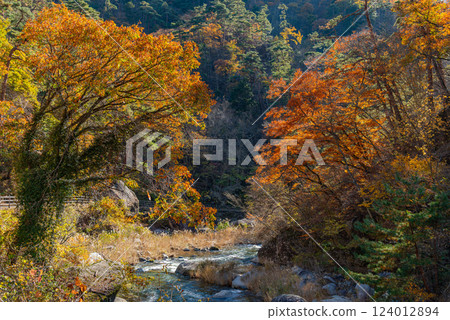 [Yamanashi Prefecture] Shosenkyo Gorge in autumn, with beautiful autumn foliage along the promenade along the Arakawa River 124012894