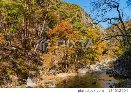 [Yamanashi Prefecture] Shosenkyo Gorge in autumn, with beautiful autumn foliage along the promenade along the Arakawa River 124012904