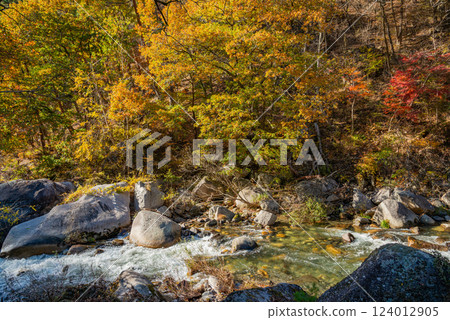 [Yamanashi Prefecture] Shosenkyo Gorge in autumn, with beautiful autumn foliage along the promenade along the Arakawa River 124012905