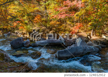 [Yamanashi Prefecture] Shosenkyo Gorge in autumn, with beautiful autumn foliage along the promenade along the Arakawa River 124012912