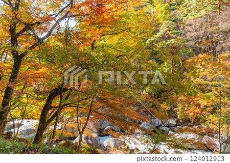 【山梨縣】秋季的昇仙峽，荒川沿岸的紅葉美景 124012913