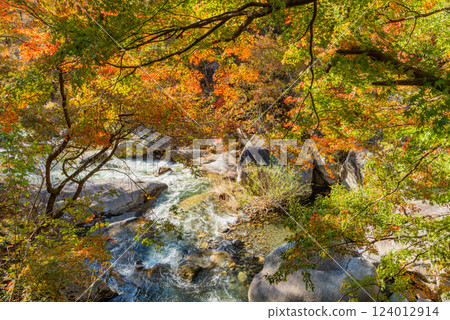 [Yamanashi Prefecture] Shosenkyo Gorge in autumn, with beautiful autumn foliage along the promenade along the Arakawa River 124012914