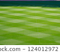 Well-maintained stadium grass and track 124012972