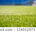 Well-maintained stadium grass and track 124012973
