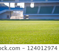 Well-maintained stadium grass and track 124012974