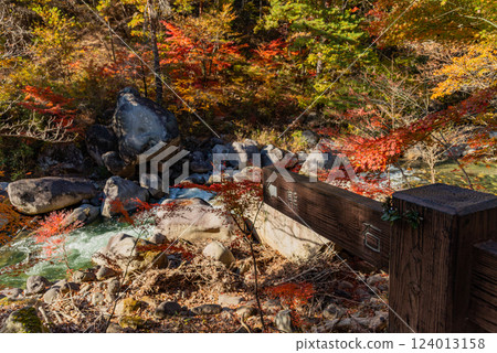 [Yamanashi Prefecture] Autumn at Shosenkyo Gorge and Kumaishi (a rock shaped like a bear) 124013158