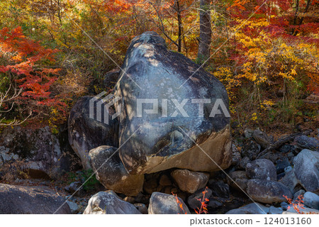 [Yamanashi Prefecture] Autumn at Shosenkyo Gorge and Kumaishi (a rock shaped like a bear) 124013160