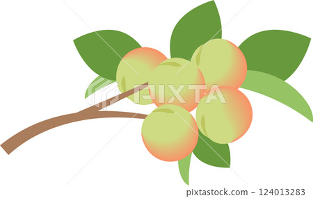 Plum fruit with leaves 124013283