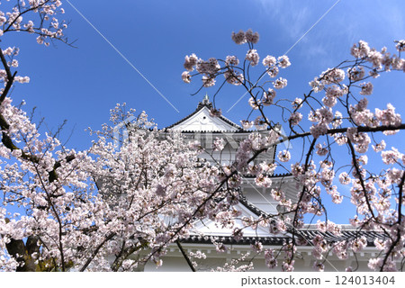 Sakura Castle 124013404