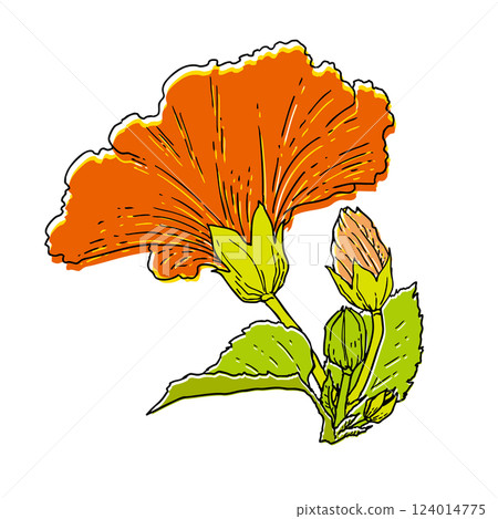 Summer flowers Hibiscus 124014775