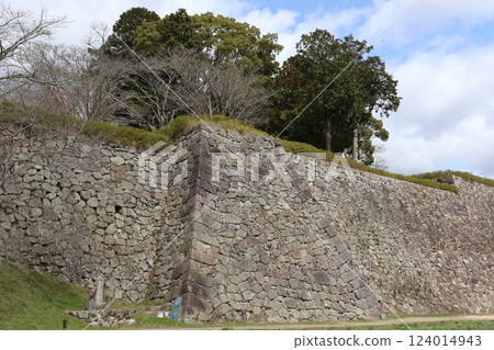 兵庫縣丹波筱山市北新町的“筱山城石垣” 124014943