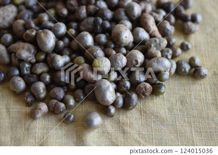 Mukogo is an autumn ingredient. A classic way to eat it is by making rice with mukogo. Mukogo is an autumn ingredient. A classic way to eat it is by making rice with mukogo. 124015036