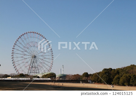 The Diamond and Flower Ferris Wheel at Kasai Rinkai Park 124015125
