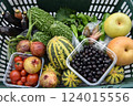 黃瓜、苦瓜、無花果、藍莓和番茄是夏季的收穫和秋季的風味。 124015556