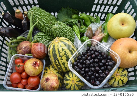 Cucumbers, bitter melons, figs, blueberries, and tomatoes are summer harvests and autumn flavors. Cucumbers, bitter melons, figs, blueberries, and tomatoes are summer harvests and autumn flavors. 124015556