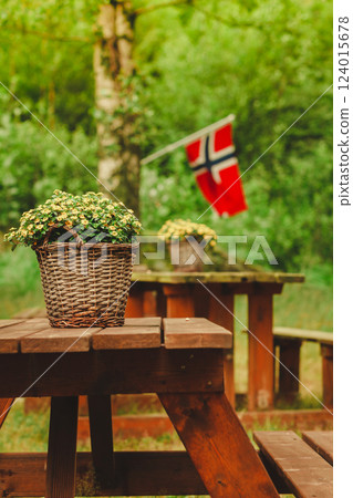 norwegian flag and green picnic site norwegian flag and green picnic site 124015678