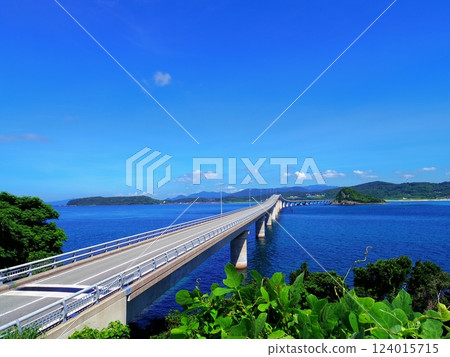 Tsunoshima Bridge as seen from Tsunoshima Island (Shimonoseki City, Yamaguchi Prefecture) 124015715