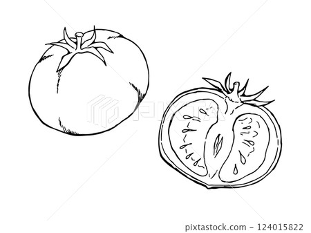 番茄、單件、橫切面、水墨畫、線條描 124015822