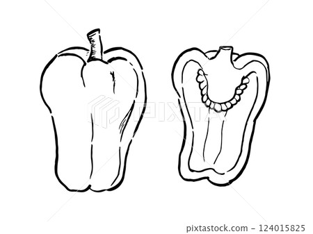Bell pepper, single section, ink painting, line drawing 124015825