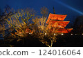 Yasaka塔 124016064