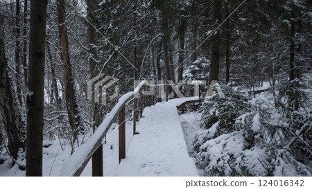 A peaceful and picturesque snowy pathway lined with beautiful trees, inviting tranquility and nature exploration 124016342