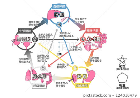 東方醫學五行理論（五臟六腑）相關圖 124016479