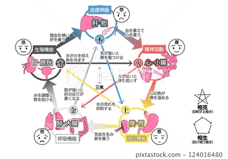 東方醫學五行理論（五臟六腑）相關圖 124016480