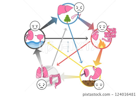 東方醫學五行理論（五臟六腑）相關圖 124016481