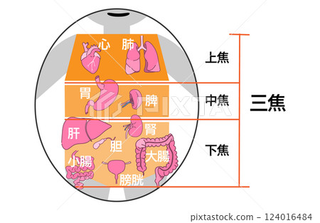 Image of triple-burner in traditional Chinese medicine Image of triple-burner in traditional Chinese medicine 124016484