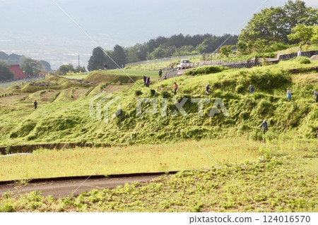 People maintaining rice terraces 2 People maintaining rice terraces 2 124016570