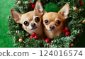 Close up portrait of two happy smiling chihuahua dogs together in a christmas tree wreath, Generative ai 124016574