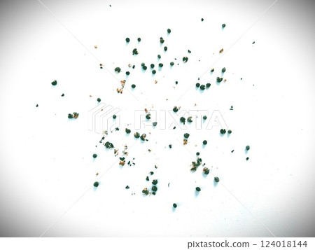 加州罌粟籽 4 加州罌粟籽 4 124018144