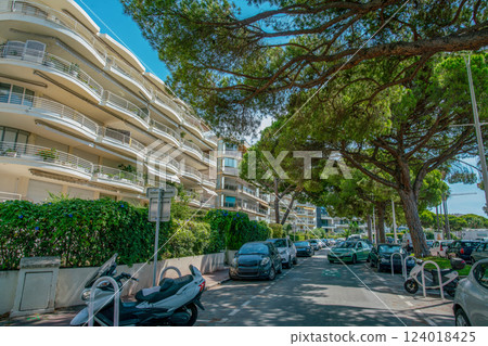 Amazing sunny view of Cannes on Croisette in left part. Cars moving and blurred motion people . Amazing flowering Amazing sunny view of Cannes on Croisette in left part. Cars moving and blurred motion people . Amazing flowering 124018425