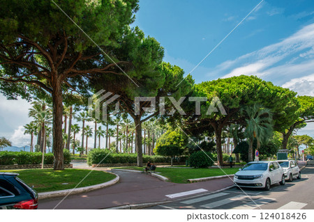 Amazing sunny view of Cannes on Croisette in left part. Cars moving and blurred motion people . Amazing flowering Amazing sunny view of Cannes on Croisette in left part. Cars moving and blurred motion people . Amazing flowering 124018426