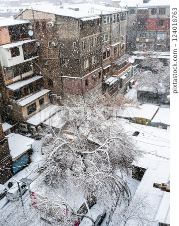 top view of snow-covered tree in yard in winter 124018763