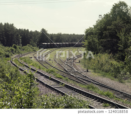 railway goods station tracks intersection. interlaced turnouts manual control 124018858