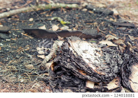badly burned book, lies on pine needles among the cones and dry broken branches 124018881