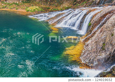 The emerald green autumn scenery of the ivy pond in Toei Town (Aichi Prefecture) The emerald green autumn scenery of the ivy pond in Toei Town (Aichi Prefecture) 124019032
