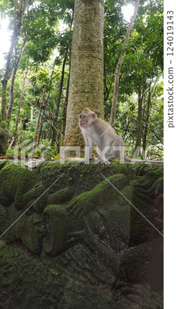 Fragment of bas-relief featuring monkeys on Padangtegal Great Temple of Death or Pura Dalem Agung Padangtegal in the Sacred Monkey Forest of Padangtegal, Ubud, Bali, Indonesia 124019143
