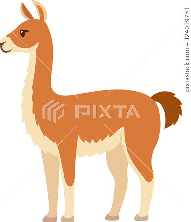 Guanaco vector illustration Guanaco vector illustration 124019731