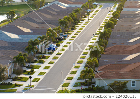 Wealthy neighborhood with expensive houses in southern Florida. Development of US premium housing market 124020113