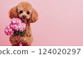 Cute brown poodle dog holding bouquet of spring flowers isolated on pink background. Valentines day or Mothers day concept. Banner, copy space, Generative ai 124020297