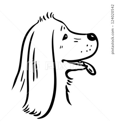 Hand drawn sketch of cocker spaniel Hand drawn sketch of cocker spaniel 124020542