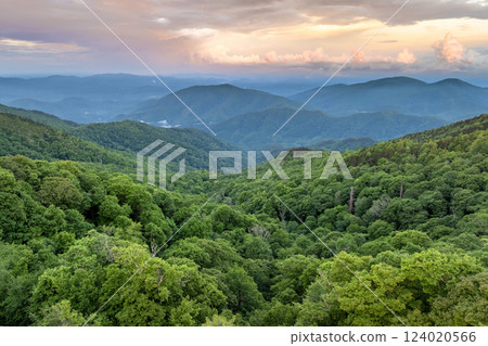 Summer woods of Appalachian mountains with green canopies in colorful forest at sunset. Wild nature in summertime season Summer woods of Appalachian mountains with green canopies in colorful forest at sunset. Wild nature in summertime season 124020566