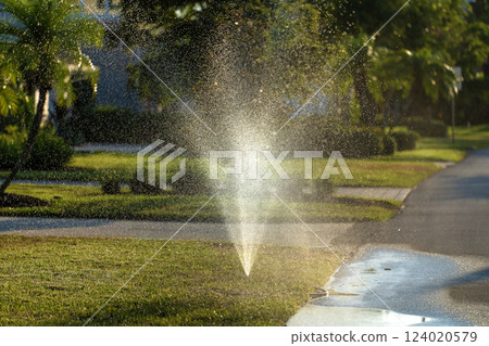 Sprinkler irrigating grass lawn with water in summer garden. Watering green vegetation during dry season for maintaining it fresh 124020579